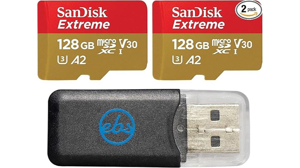 dual 128gb micro sd cards