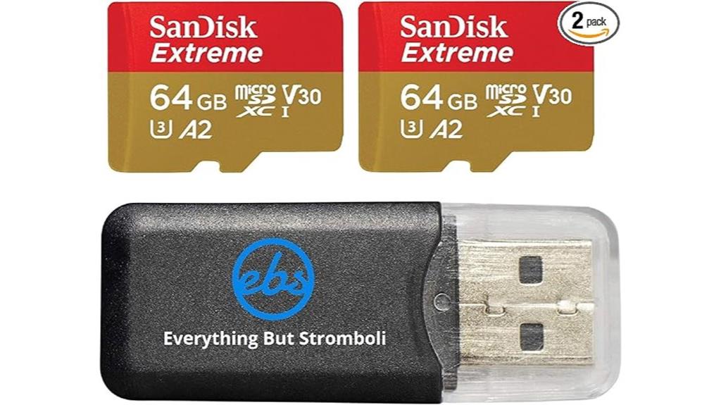 dual 64gb microsd cards