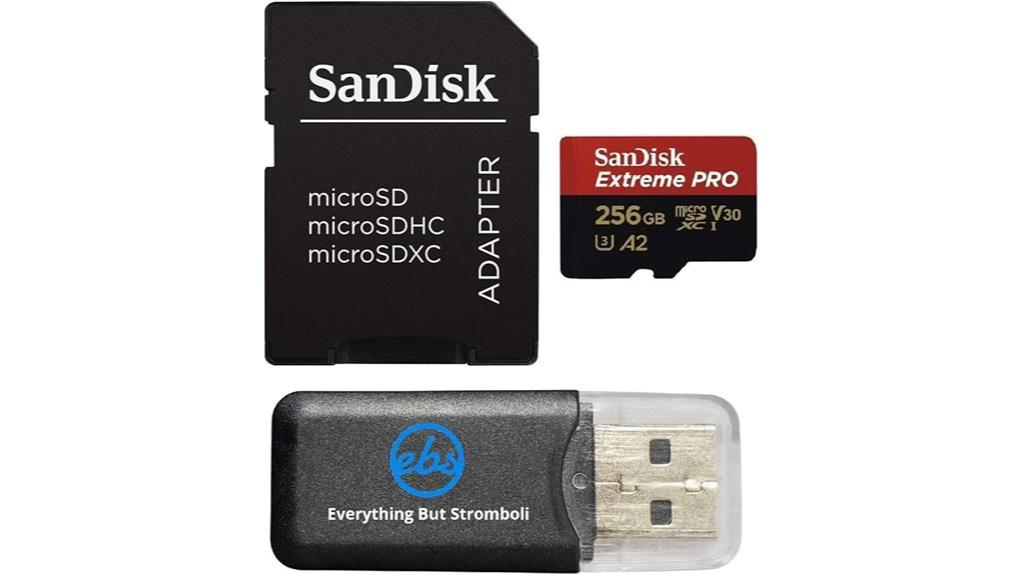 sandisk 256gb microsd card