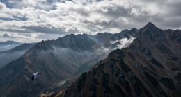 airborne composition significance