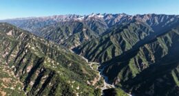 altitude influences drone imagery