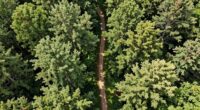 enhance space with aerial photography