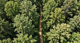 enhance space with aerial photography