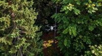 forest drone flying tips