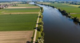 identify aerial leading lines