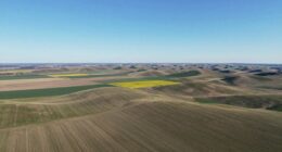 lack of depth perception