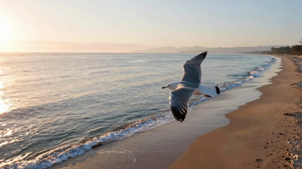 smoothly conclude drone footage