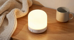2 Best Home Night Lights In 2026