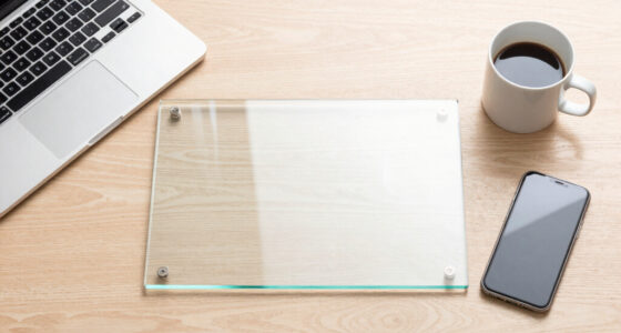 Glasspane: When Transparency Itself Becomes the Product