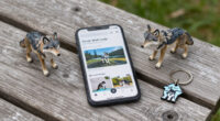 Great Wolf Lodge Surges In Global Coverage