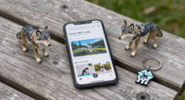Great Wolf Lodge Surges In Global Coverage